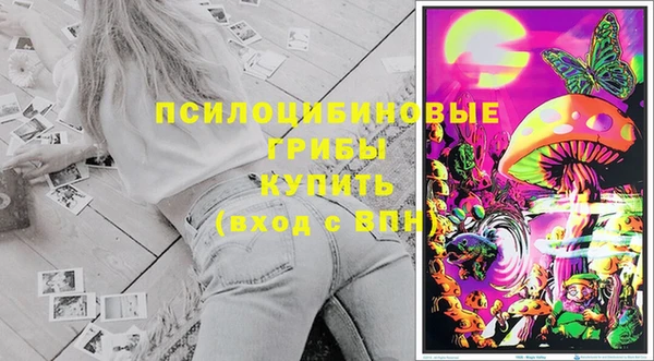 каннабис Каменногорск