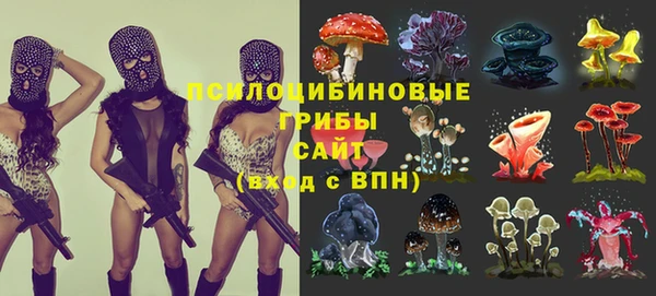 бошки Каменск-Шахтинский
