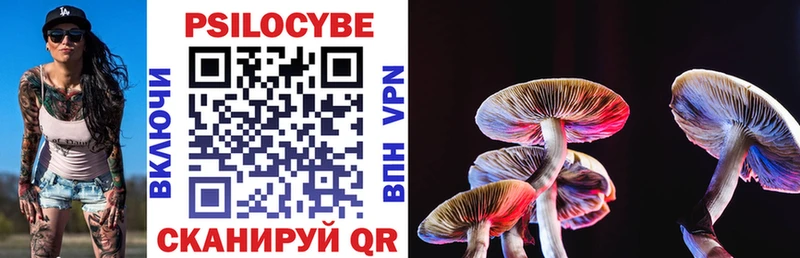 Купить  Городовиковск  Галлюциногенные грибы GOLDEN TEACHER 